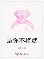 不将就 MV