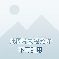 大夏第一皇子演员表