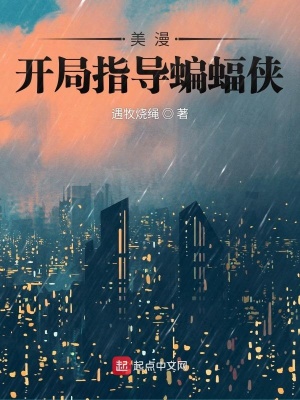 美漫蝙蝠侠小说