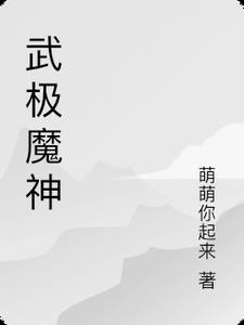 武极天尊小说