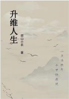 升维思考是什么意思