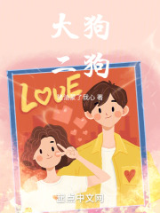 大狗二狗谁的底盘好