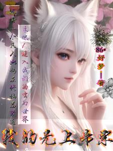 我的无敌仙女老婆