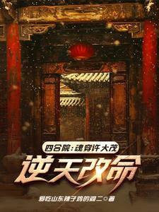四合院许大茂重生复仇记