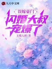 误嫁豪门闪婚老公是总裁