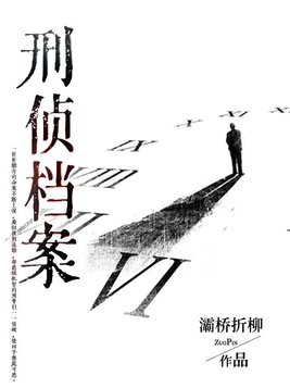 刑侦档案2全集解说