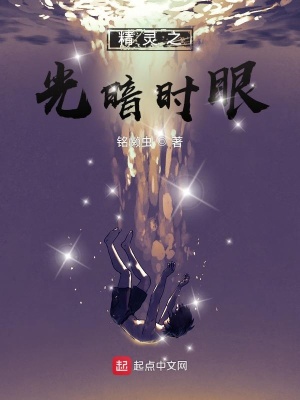 精灵之光值得买吗