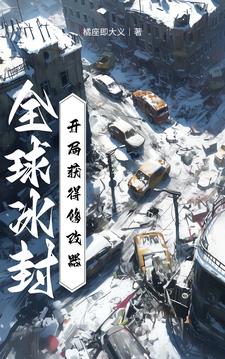 全球冰封的小说