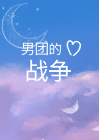 男团的现状